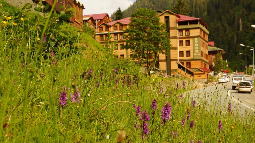 Ayder Resort Hotel Rize Extérieur photo