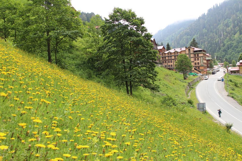 Ayder Resort Hotel Rize Extérieur photo