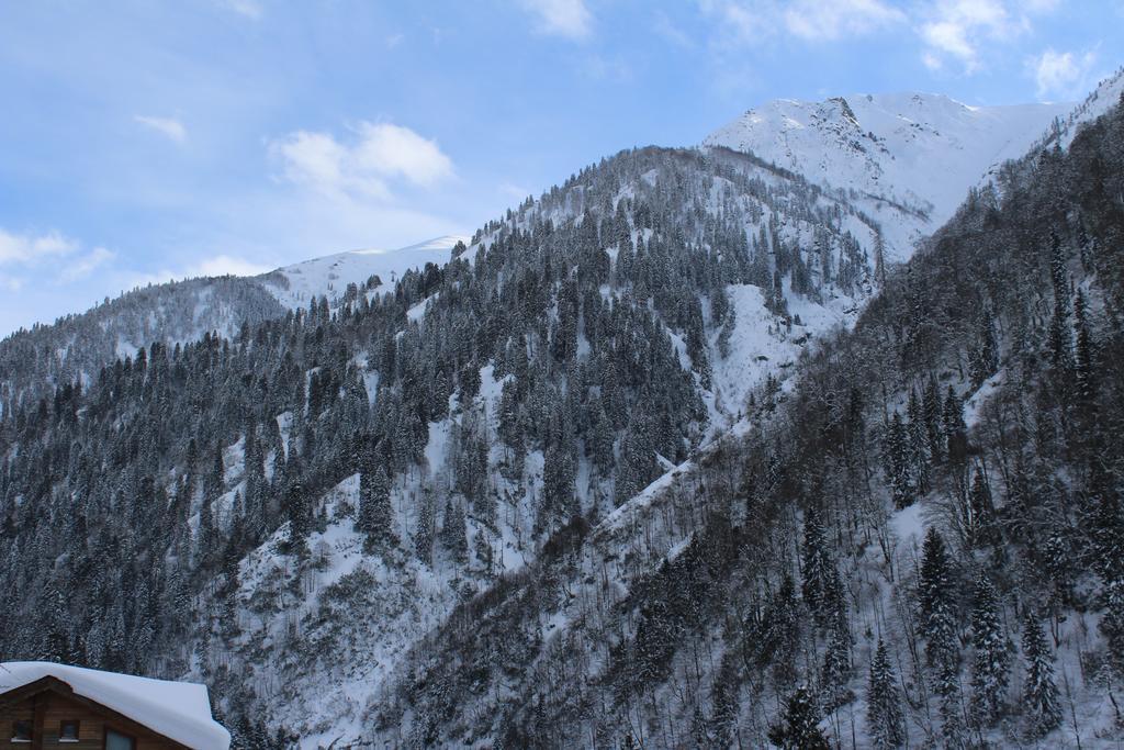 Ayder Resort Hotel Rize Extérieur photo